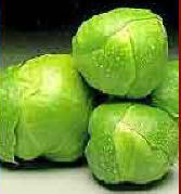 Brussel_20sprouts_1_