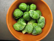 Sprouts-in-orange-bowl