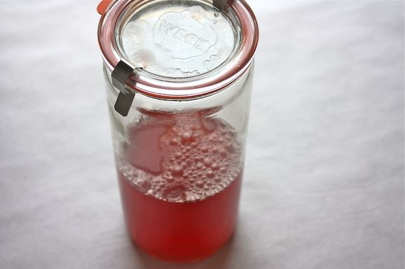 Rhubarb Cordial