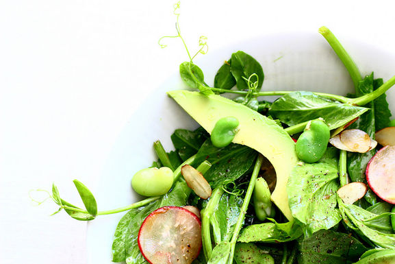 Pea Shoot Salad with Fava Beans