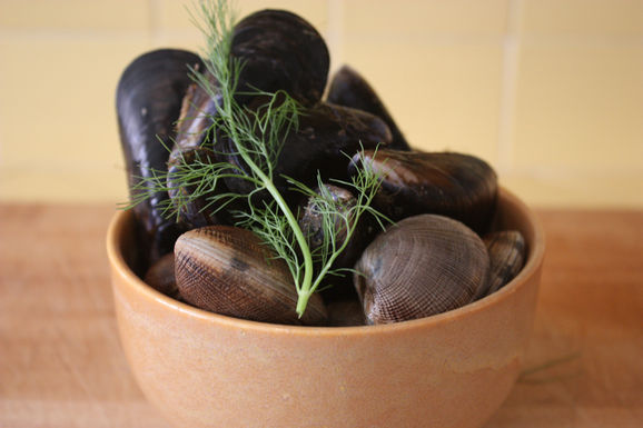 Mussels and Clams
