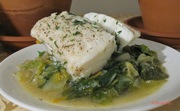 Halibut