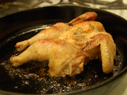 Poussin