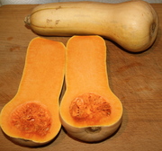 Butternut-squash