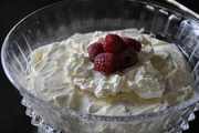 Limoncello_tiramasu_032910_1_