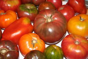 Spaghetti with "No Cook" Heirloom Tomato Sauce