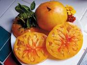 Heirloom Tomato and Peach Salad