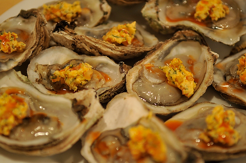 Your Best Oysters