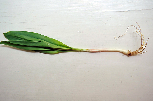 Ramps