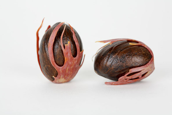 food52 in the News
