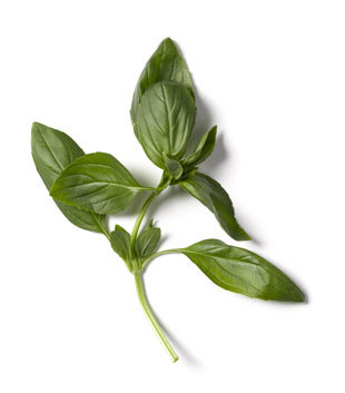 This Week's Tip from BonAppetit.com
