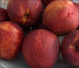 Organic Dried Nectarines
