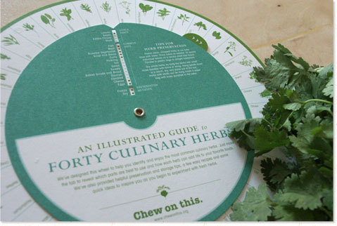 An  Illustrated Guide to 40 Culinary Herbs