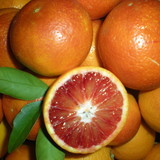 Organic Tarocco Blood Oranges