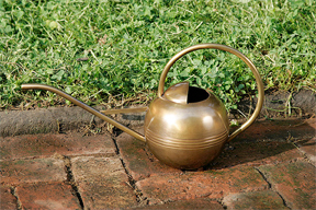 Small Brass Watering Can