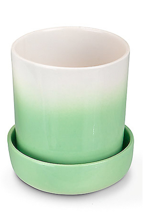 Mini Pot