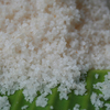 Sugpoasin