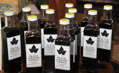 Black Currant Cordial