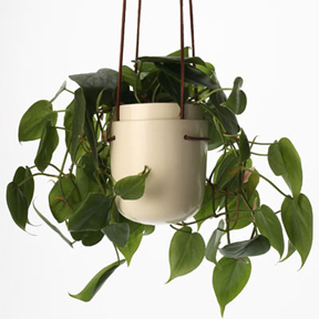 Plant Pod