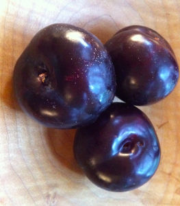 Autumn Plum Syrup