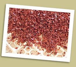 Aleppo Pepper