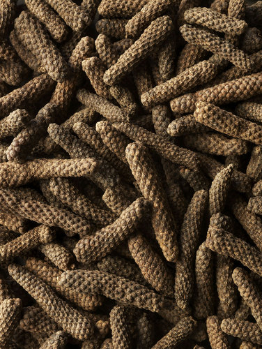 Long Pepper Cru Madura