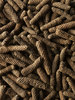 Long Pepper Cru Madura