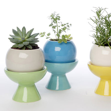 Perch! Design