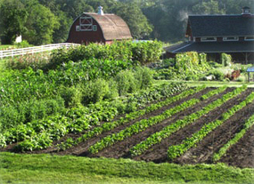 Seed Savers Exchange