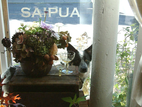 Saipua_editorial