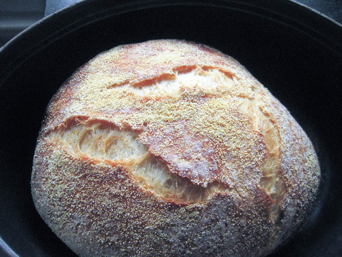 5cornmeal-bread
