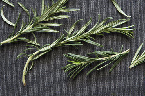 Rosemary