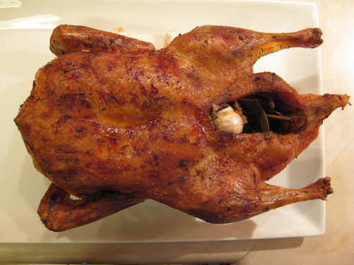 Cajun_duck