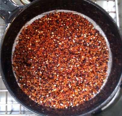 Black-and-red-quinoa1
