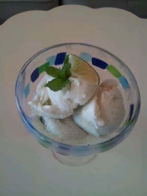 Keylime_mint