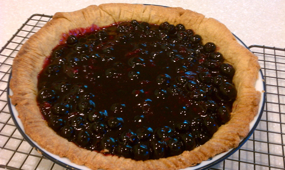 Blueberry_pie