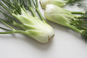 Your Best Ideas for Fennel