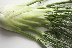 How to Use Fennel