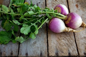 Your Best Ideas for Turnips