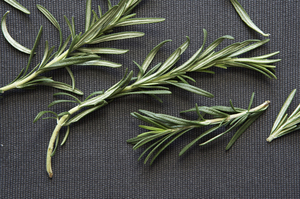 Your Best Ideas for Rosemary