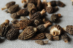 Mushroom Mania: Fresh Varieties & Recipes