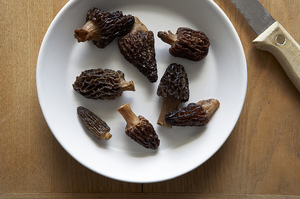Your Best Ideas for Morels