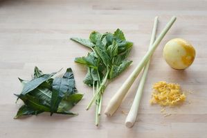 Small Batch: Herbal Teas to Grow and Drink