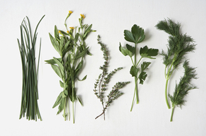 From Scratch: Spring Herb Primer