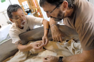 Producer Profile: American Miso Company