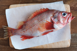 Fish on Fridays
