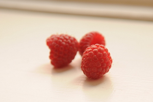 Silver Spring: Berry Madness