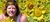 Sunflower_profile
