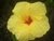 Kauai_oct_2009_304