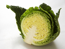 Hot Slaw Recipe